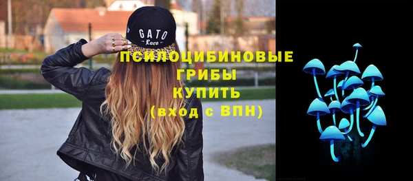 молекула духа Нефтекумск