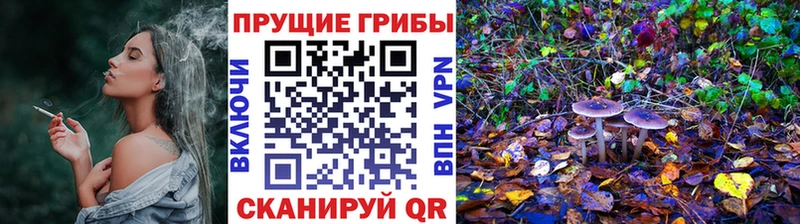 Псилоцибиновые грибы GOLDEN TEACHER  даркнет сайт  Усть-Катав 